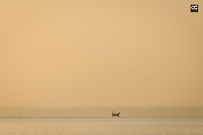 Bhigwan Boat ride bird sanctuary