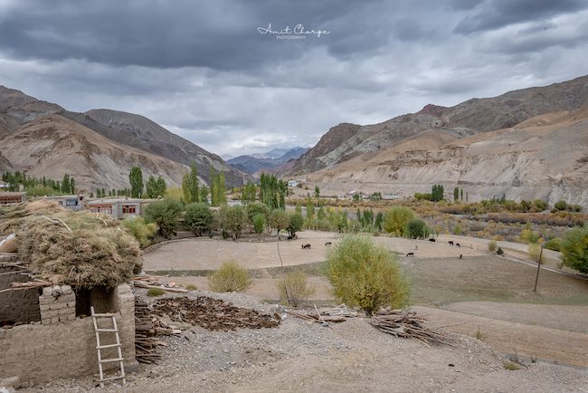 Road to Offbeat Ladakh village Chiktan