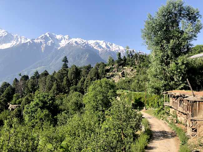 Apple Orchards with View Kalpa