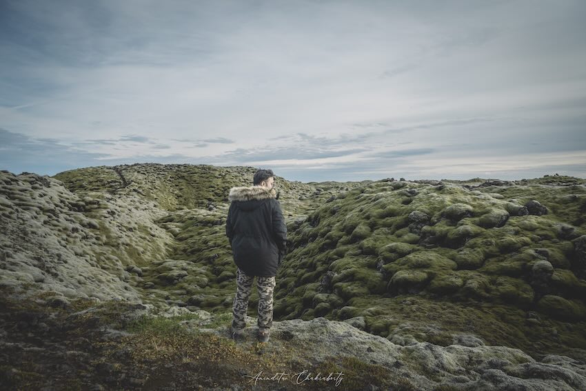 Mossy field while driving through Iceland in 7 days